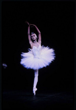 Opera de Paris: Лебединое озеро (Swan Lake)