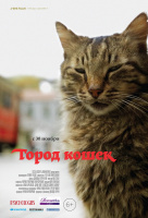 Город кошек Город кошек