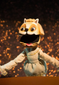 Кошкин дом