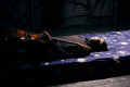 Фото Wanted Hamlet