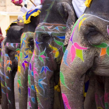 Цирковой парад слонов