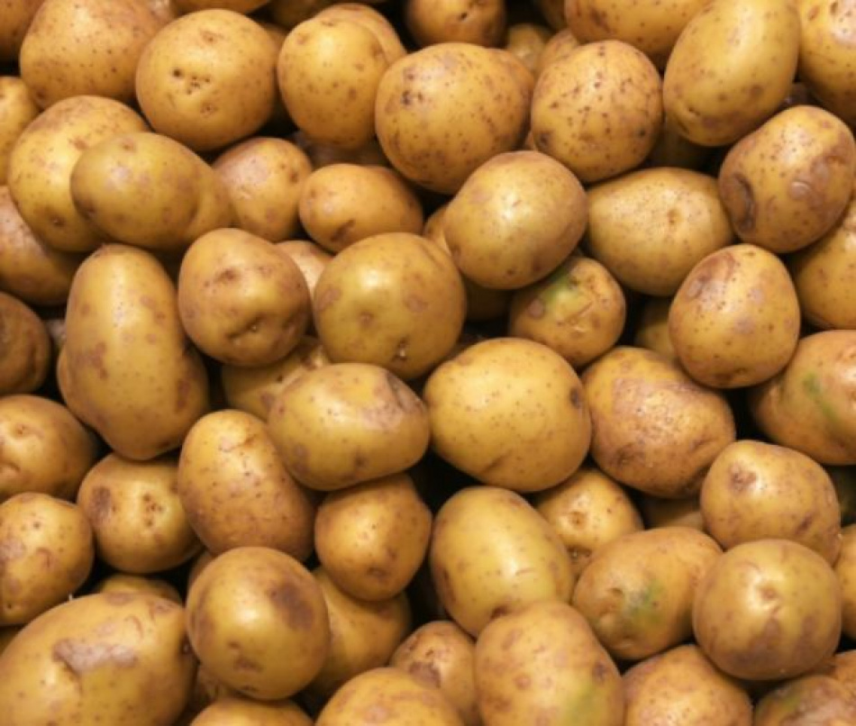 Диетолог заявила о смертельной опасности зеленого картофеля