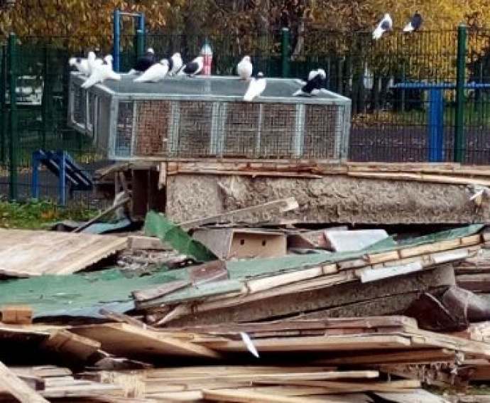 В Петербурге жестоко уничтожили старую голубятню