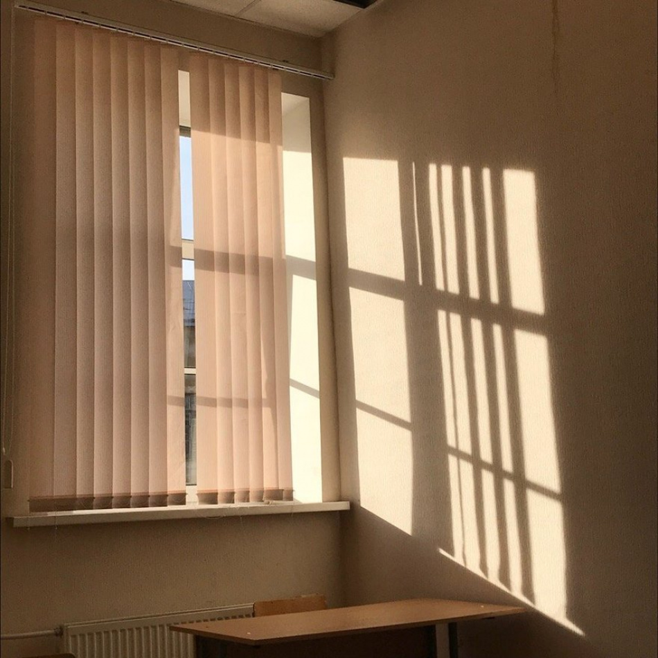 Петербуржцы фотофиксируют солнечные дни в городе