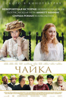 Чайка Чайка