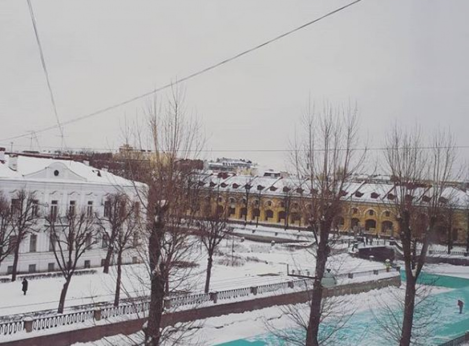 На Крюковом канале заметили зелёный лёд