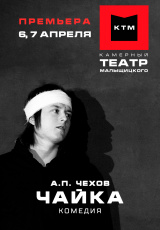 Чайка Чайка