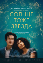 Солнце тоже звезда  (The Sun Is Also a Star)