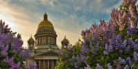 Как провести первые выходные лета в Петербурге Как провести первые выходные лета в Петербурге