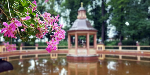 Вечеринка у моря, выставка Картье-Брессона и юбилей Летнего сада: как провести выходные 14-16 июня Вечеринка у моря, выставка Картье-Брессона и юбилей Летнего сада: как провести выходные 14-16 июня