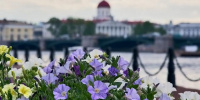 Фестиваль фантастики и open-air в Капелле: как провести последние выходные июня Фестиваль фантастики и open-air в Капелле: как провести последние выходные июня