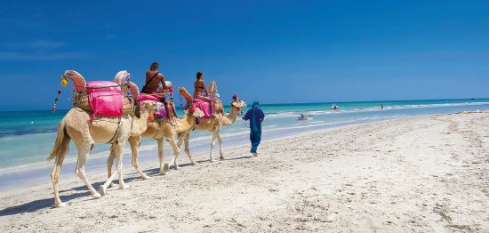 изображение фотография страна для туризма Тунис