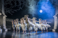 Фото Мэтью Борн: Лебединое озеро (TheatreHD)