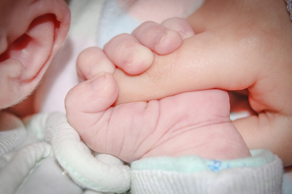 В 15 родильных домах Петербурга можно получить свидетельство о рождении ребёнка при выписке