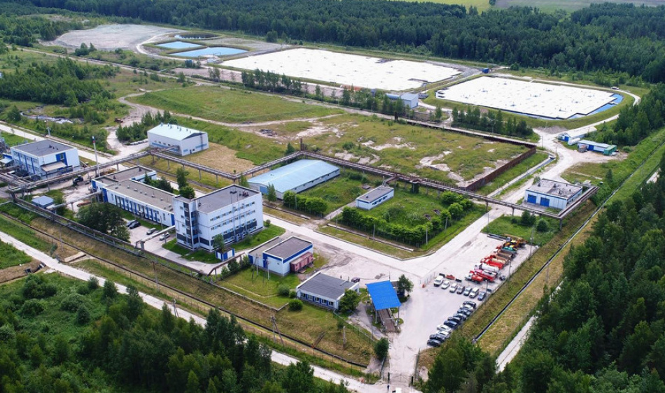 На месте полигона «Красный Бор» могут разбить парк