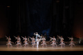 Фото БТ: Раймонда (TheatreHD)