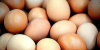 Минсельхоз заявил, что в России возможно кратковременное подорожание мяса и яиц