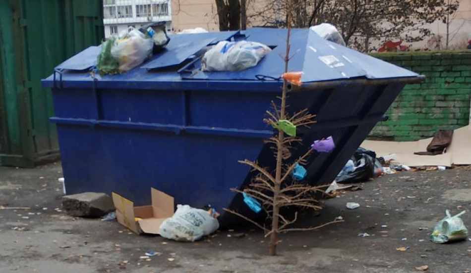 «А что, уже можно?»: петербуржцев развеселила выброшенная в ноябре новогодняя елка