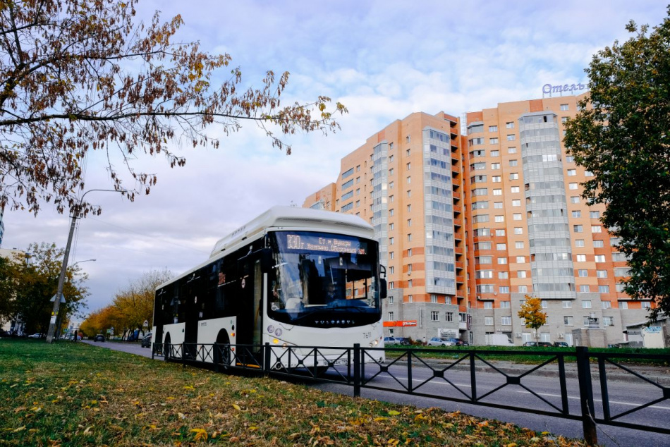 «Дачные» маршруты Петербурга переходят на зимний режим работы