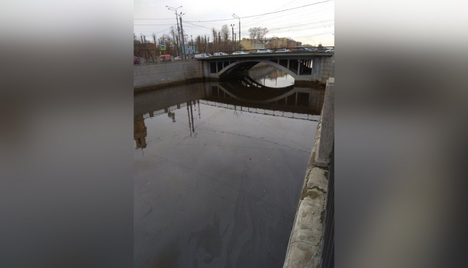 Петербуржцы бьют тревогу из-за химических разводов в Обводном канале