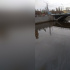 Петербуржцы бьют тревогу из-за химических разводов в Обводном канале Петербуржцы бьют тревогу из-за химических разводов в Обводном канале