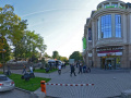 Буквоед в Александровском парке