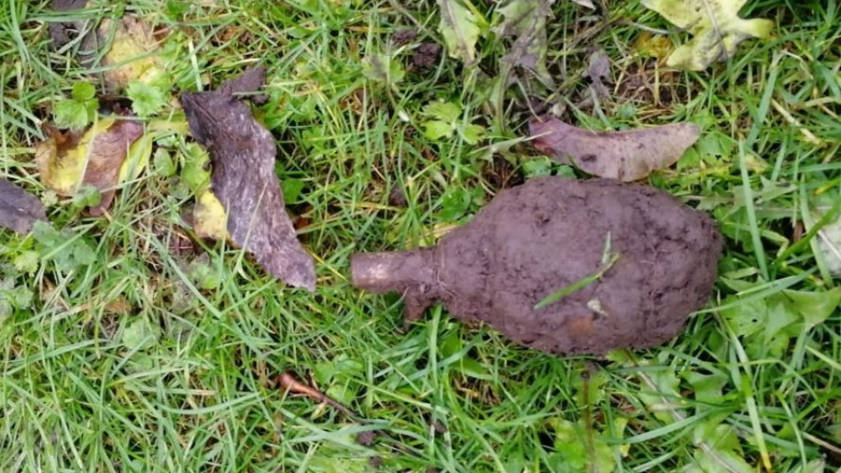 Мужчина из Ульяшево нашел гранату во дворе своего дома
