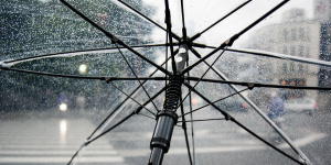 Петербуржцев предупредили о дождях на следующей неделе