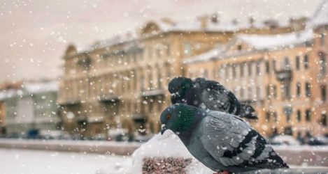 Как провести выходные 29 ноября - 1 декабря: распродажи на Black Friday, выставка Pirelli и кинопремьера с Дэниэлом Крэйгом Как провести выходные 29 ноября - 1 декабря: распродажи на Black Friday, выставка Pirelli и кинопремьера с Дэниэлом Крэйгом