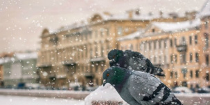 Как провести выходные 29 ноября - 1 декабря: распродажи на Black Friday, выставка Pirelli и кинопремьера с Дэниэлом Крэйгом Как провести выходные 29 ноября - 1 декабря: распродажи на Black Friday, выставка Pirelli и кинопремьера с Дэниэлом Крэйгом