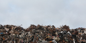 В Петербурге участники эко-акции «Чистые игры» собрали более трех тонн мусора