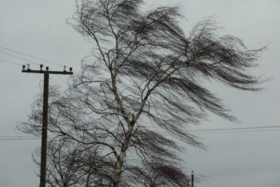 В Петербурге из-за сильного ветра 25 марта объявили «желтый» уровень погодной опасности 