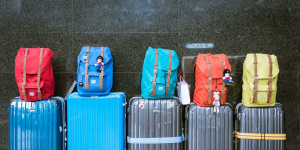Пассажиры рейса из Петербурга в Новосибирск заявили об утере багажа