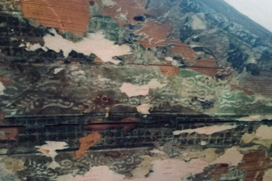 В тихвинском доме-музее Римского-Корсакова обнаружен фрагмент исторических обоев