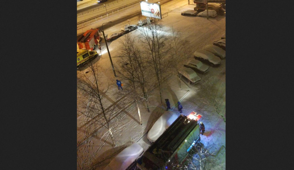 При квартирном пожаре на Луначарского погибла кошка