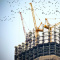 «Ленэкспо» в Петербурге хотят застроить жильем