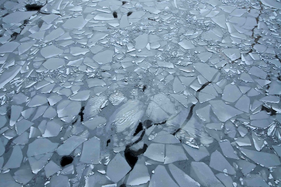 Житель Петербурга провалился под лёд по пути в магазин