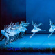 XIX Международный фестиваль балета 
