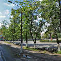 Площадь Ленина в Приозерске