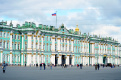 Петербургские коты устроят забег на Дворцовой площади