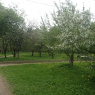 Фото Зеленогорский яблоневый сад