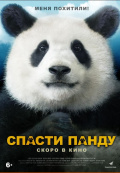 Спасти панду Спасти панду