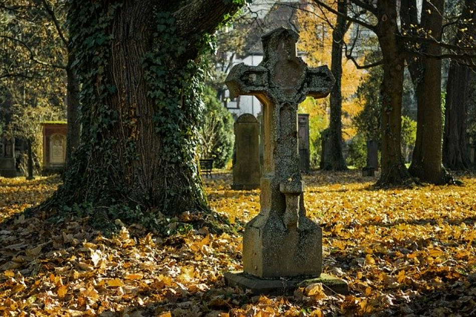 В Петербурге похоронная компания поборется в суде за право зарабатывать на кладбищах