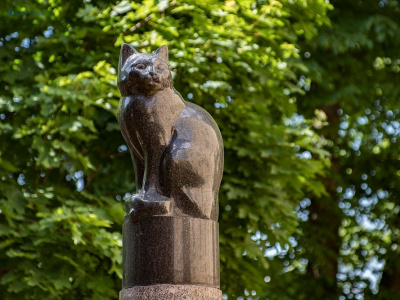 Фото Памятник Подопытной кошке
