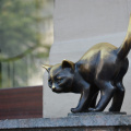 Памятник котёнку Фунтику