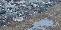 Директору мусорного завода в Янино предъявлено обвинение