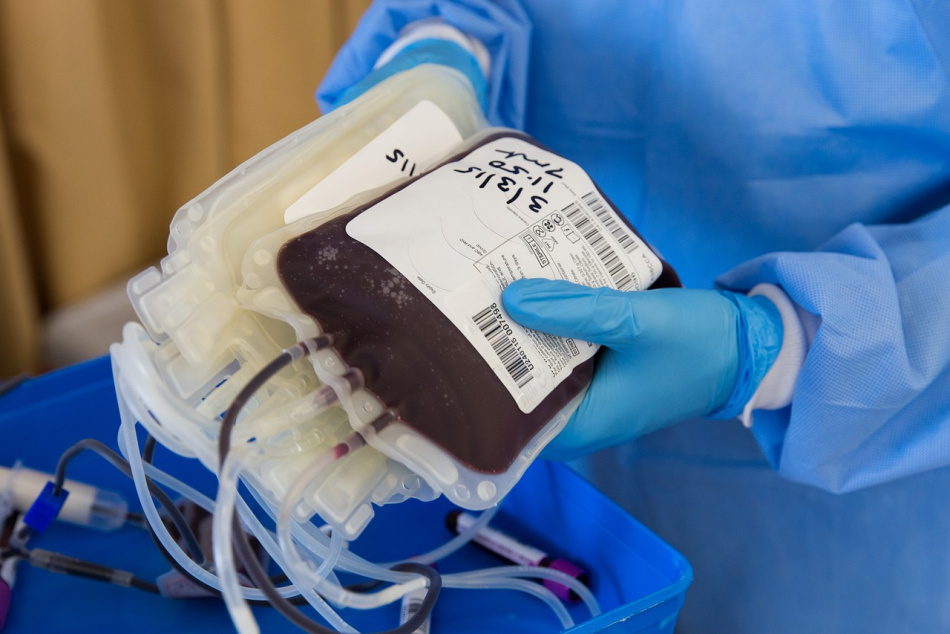 Группа крови: в Петербурге состоится новогодняя донорская акция