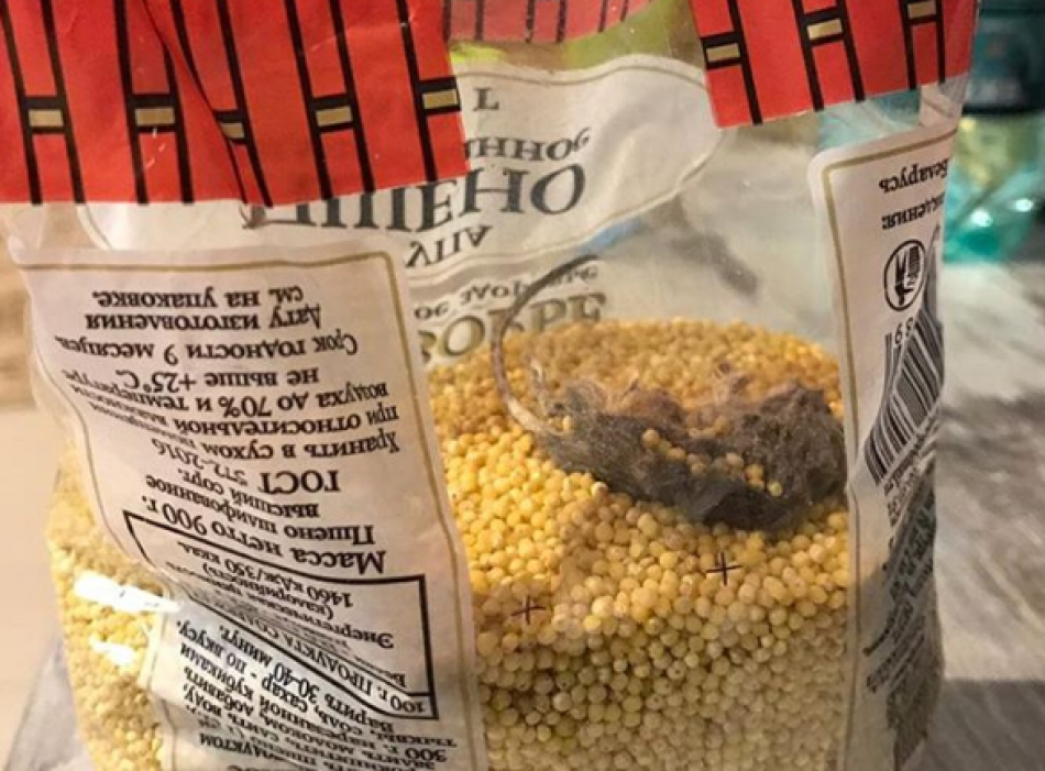 Петербурженка нашла дохлую мышь в продуктовом наборе для школьников