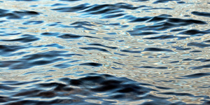 Мужчина утонул в канале Грибоедова в Петербурге