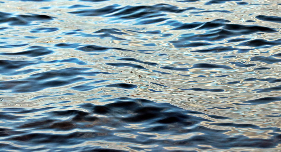 Вода в Финском заливе прогрелась до 26 градусов